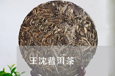 王沈普洱茶/2023090517138