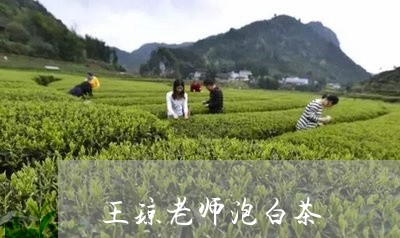 王琼老师泡白茶/2023060232828