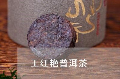 王红艳普洱茶/2023112625947