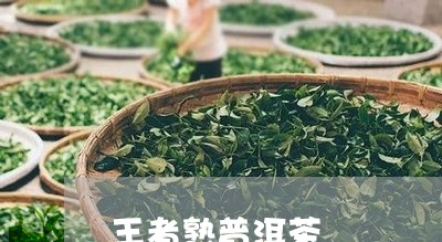 王者熟普洱茶/2023112697491