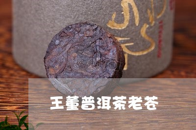 王董普洱茶老苍/2023102654027