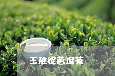 王雅妮普洱茶/2023042865411