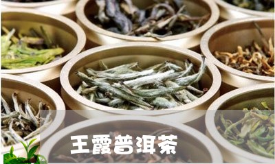 王霞普洱茶/2023090620584