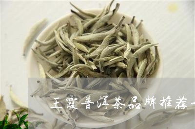 王霞普洱茶品牌推荐一下/2023121822715