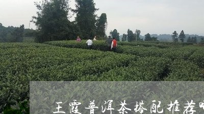 王霞普洱茶搭配推荐哪种茶/2023121847268