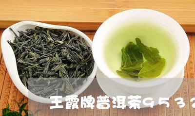 王霞牌普洱茶9532/2023100661037