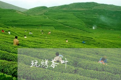 玩烤茶叶/2023090136279