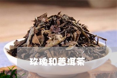 玫瑰和普洱茶/2023042621036