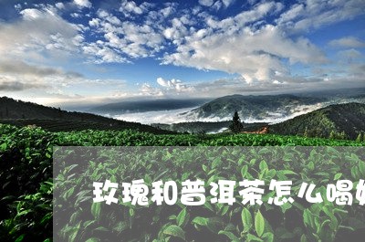 玫瑰和普洱茶怎么喝好一点/2023112415032