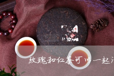 玫瑰和红茶可以一起泡茶吗/2023051136039