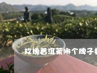 玫瑰普洱茶哪个牌子好/2023080296138