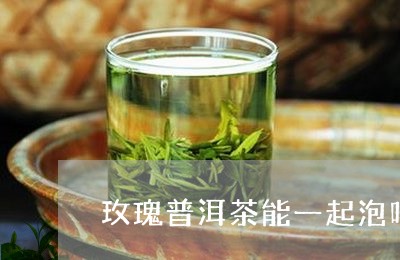 玫瑰普洱茶能一起泡吗/2023092505959