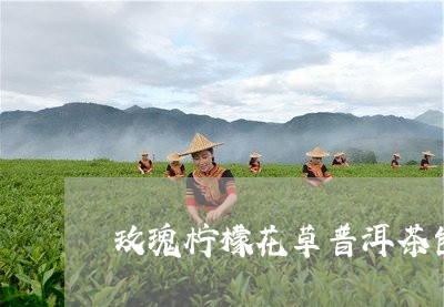 玫瑰柠檬花草普洱茶包/2023062472938