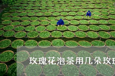 玫瑰花泡茶用几朵玫瑰/2023060974924