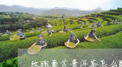 玫瑰黄芪普洱茶怎么配/2023100656169