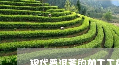 现代普洱茶的加工工序/2023080273047