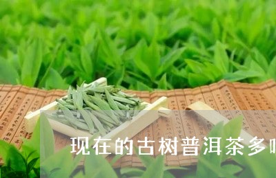 现在的古树普洱茶多吗/2023061796391