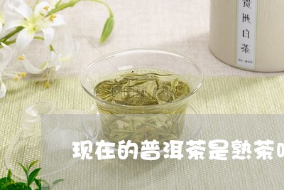 现在的普洱茶是熟茶吗/2023063094845