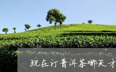 现在订普洱茶哪天才到货/2023110160714