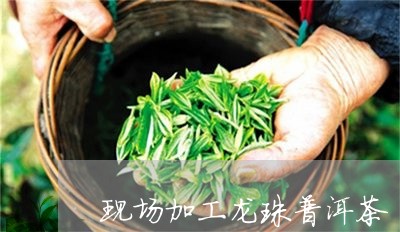 现场加工龙珠普洱茶/2023112495037