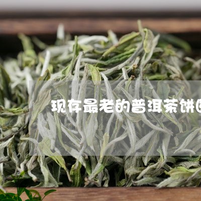 现存最老的普洱茶饼图片及价格/2023082867483