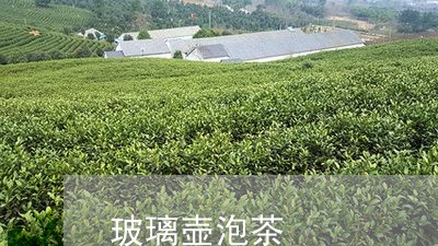 玻璃壶泡茶/2023090266272