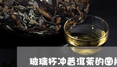 玻璃杯冲普洱茶的图片/2023092740692