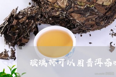 玻璃杯可以用普洱茶吗/2023072293936