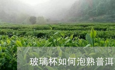 玻璃杯如何泡熟普洱茶/2023092763704