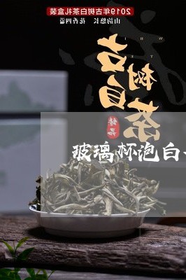 玻璃杯泡白茶的投茶量/2023100391026