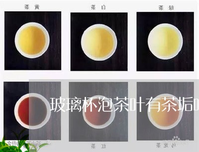 玻璃杯泡茶叶有茶垢吗/2023092239482