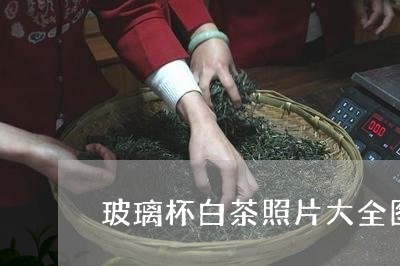 玻璃杯白茶照片大全图/2023100367269