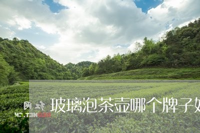 玻璃泡茶壶哪个牌子好/2023071574046