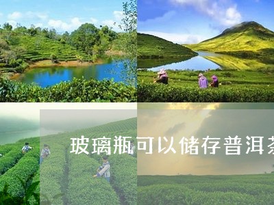 玻璃瓶可以储存普洱茶/2023092901714