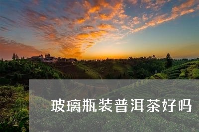 玻璃瓶装普洱茶好吗/2023120544152