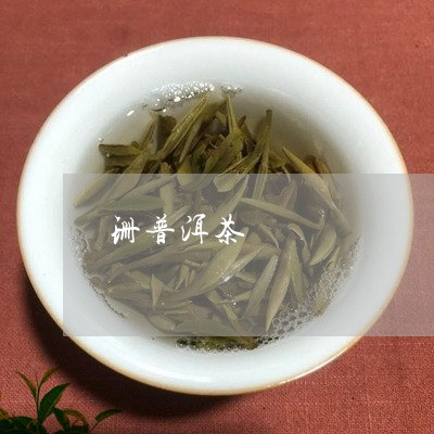 珊普洱茶/2023110854039