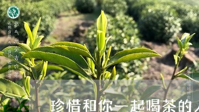 珍惜和你一起喝茶的人/2023071599360