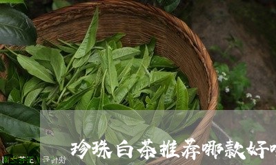 珍珠白茶推荐哪款好喝/2023100366148