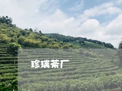 珍瑞茶厂/2023121905948