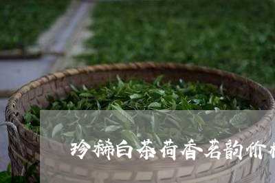 珍稀白茶荷香茗韵价格/2023100369260