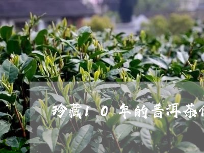 珍藏10年的普洱茶价格/2023050660725