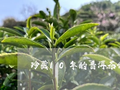 珍藏10年的普洱茶价格/2023122691715