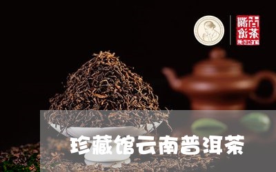 珍藏馆云南普洱茶/2023110994917