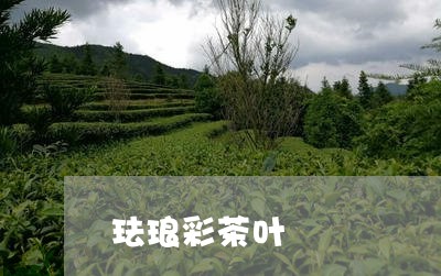 珐琅彩茶叶/2023041877112