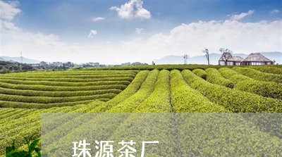 珠源茶厂/2023121905138