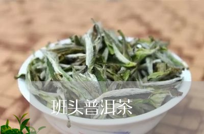 班头普洱茶/2023090518269