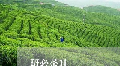 班必茶叶/2023090103826