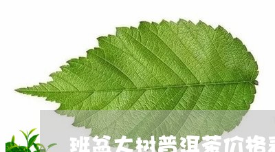 班盆大树普洱茶价格表/2023092706472