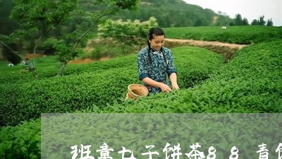 班章七子饼茶88青饼/2023061127302