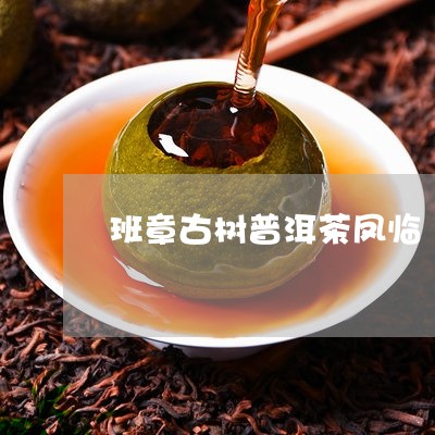 班章古树普洱茶凤临/2023092729483